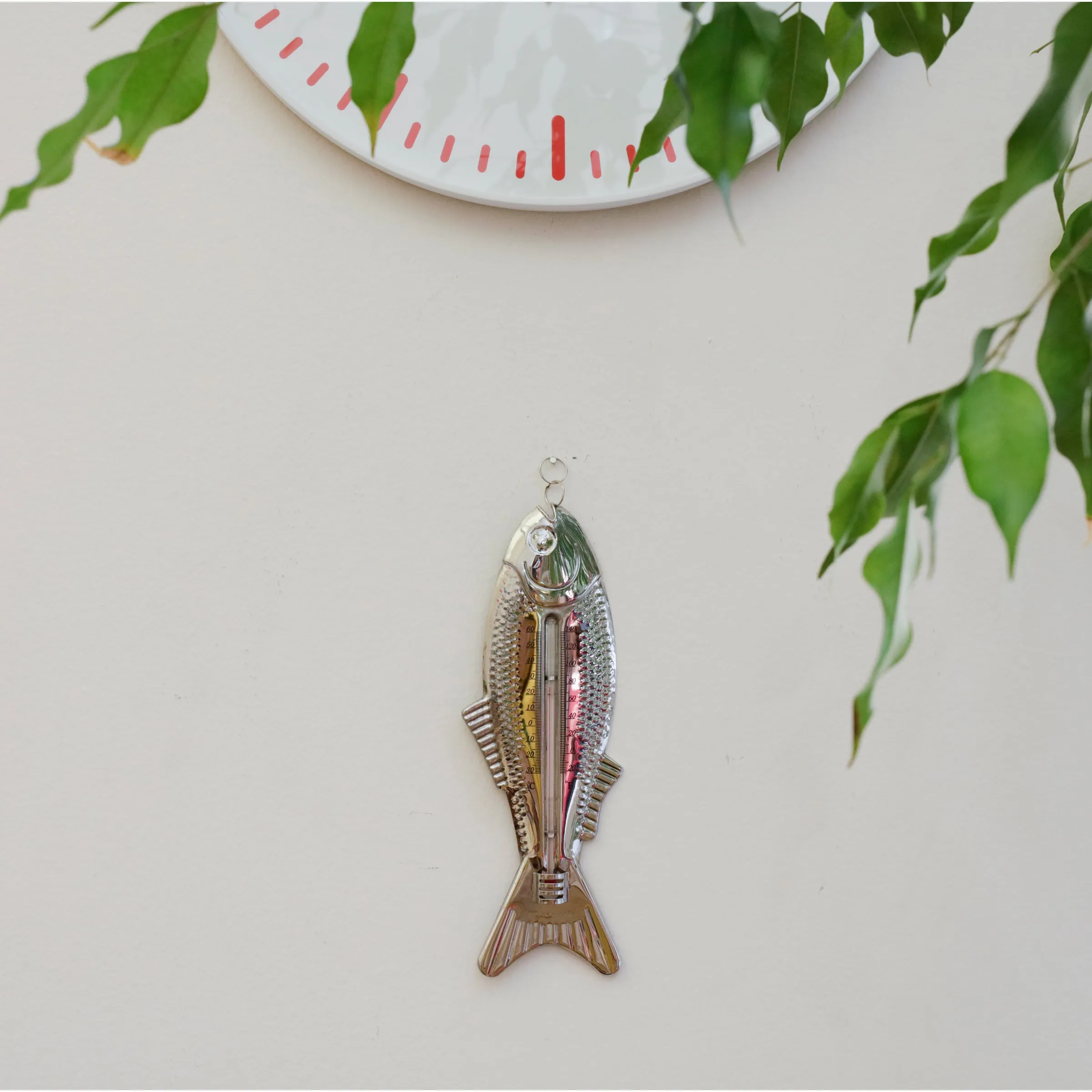 Fish Thermometer