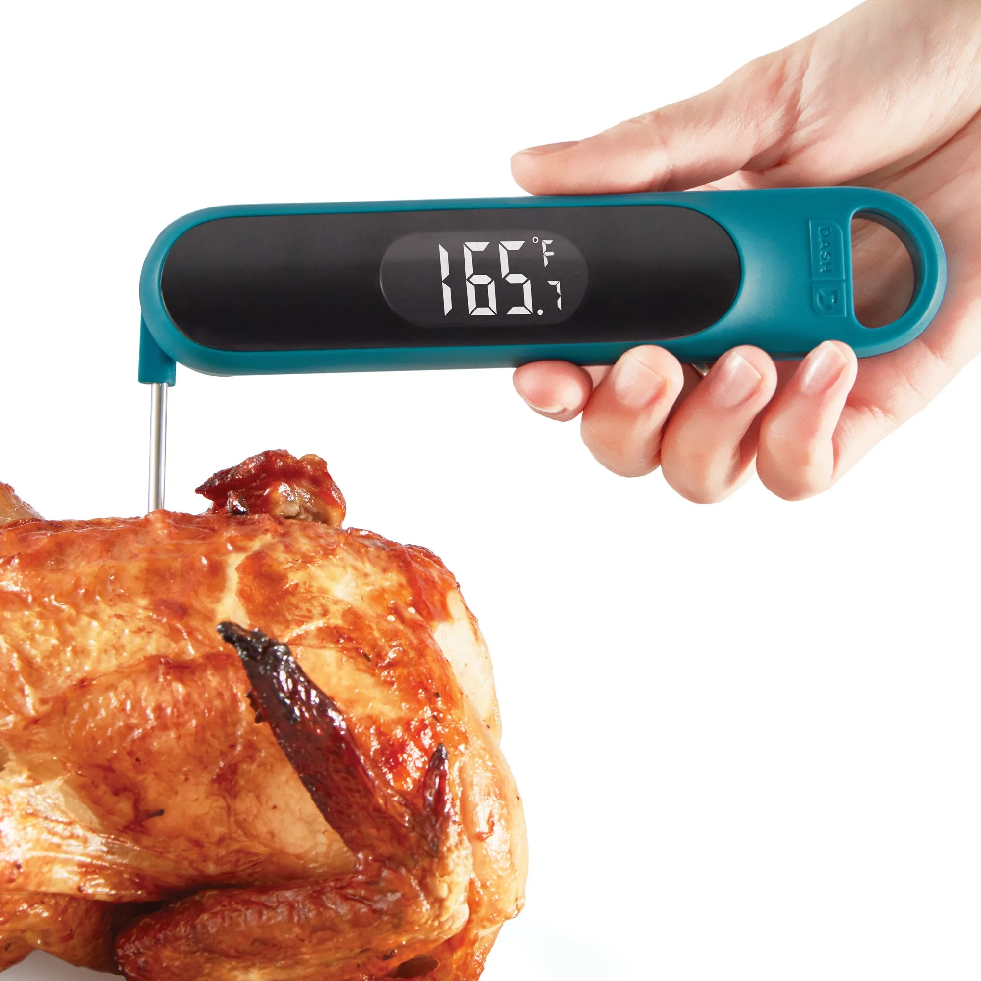 Precision Quick-Read Thermometer