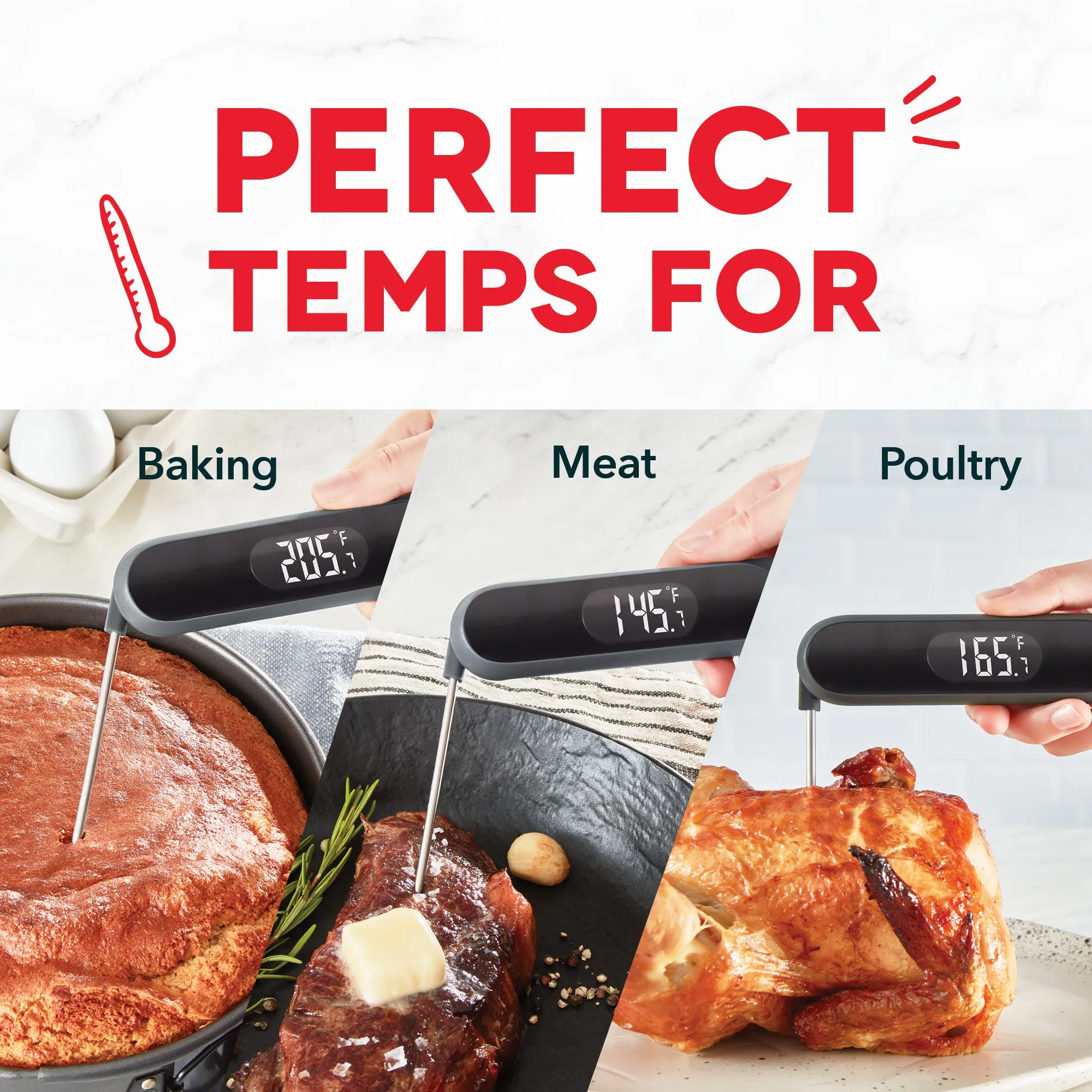 Precision Quick-Read Thermometer