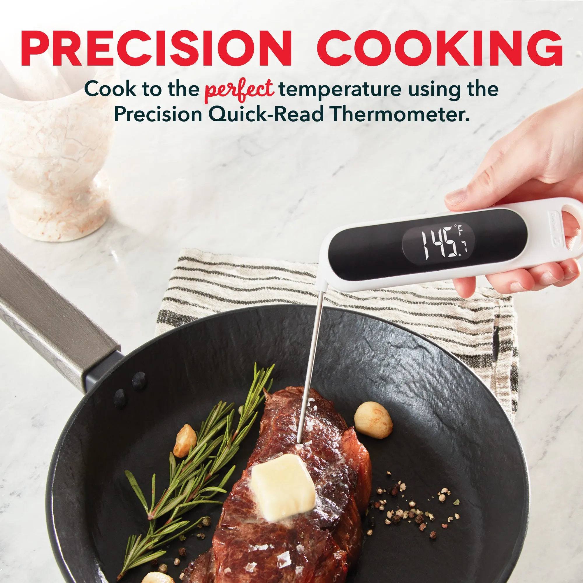 Precision Quick-Read Thermometer