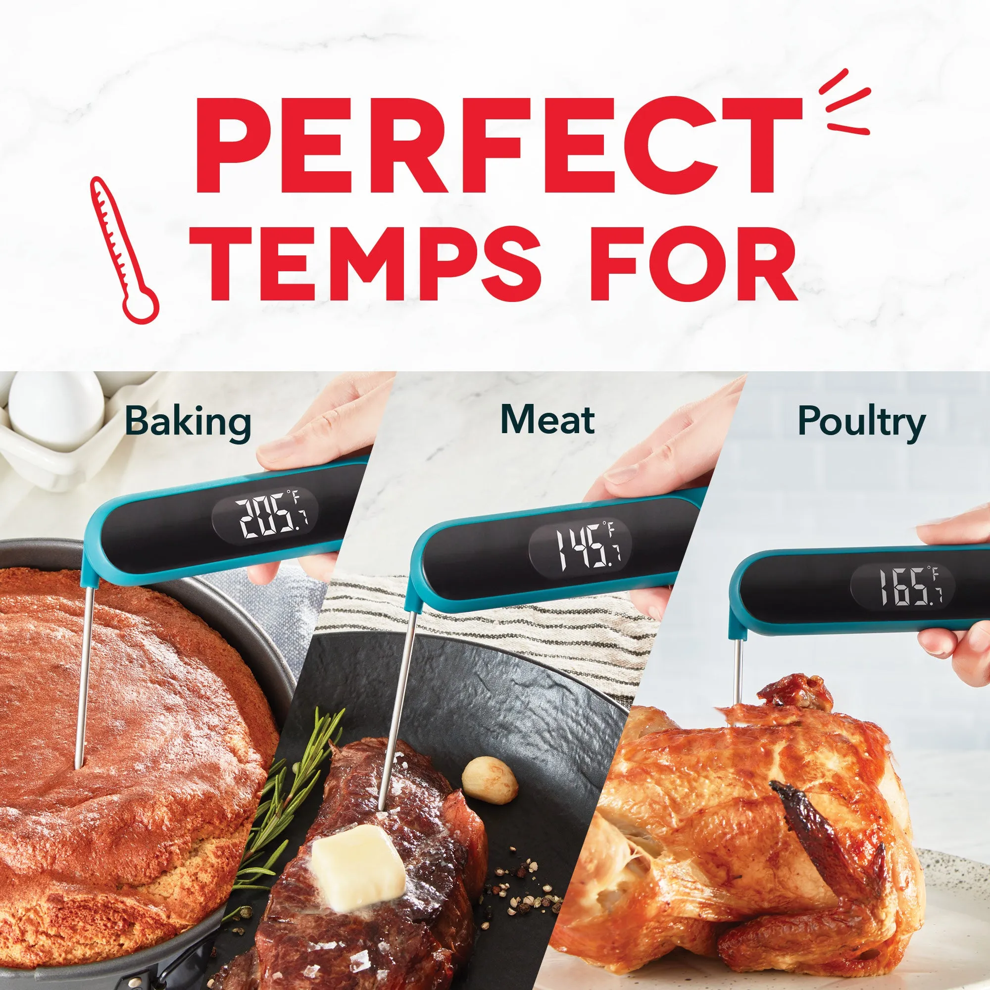 Precision Quick-Read Thermometer