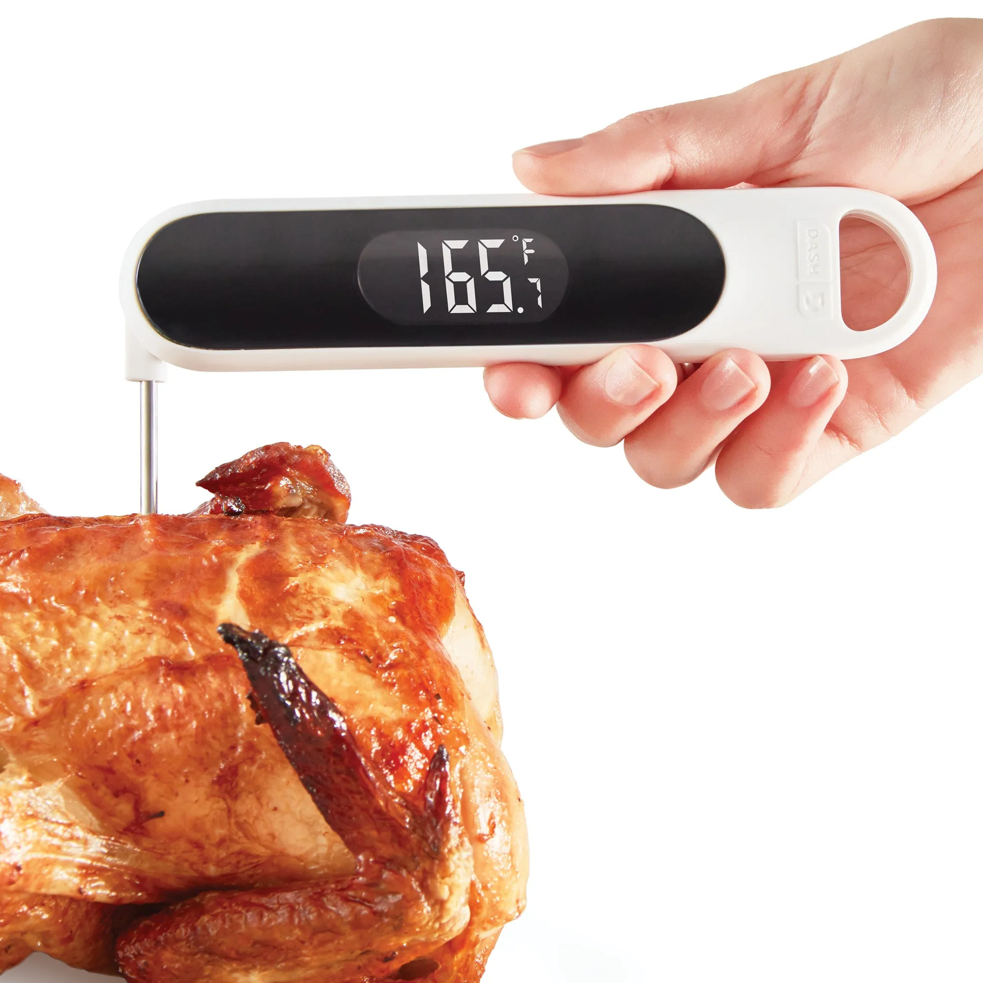 Precision Quick-Read Thermometer