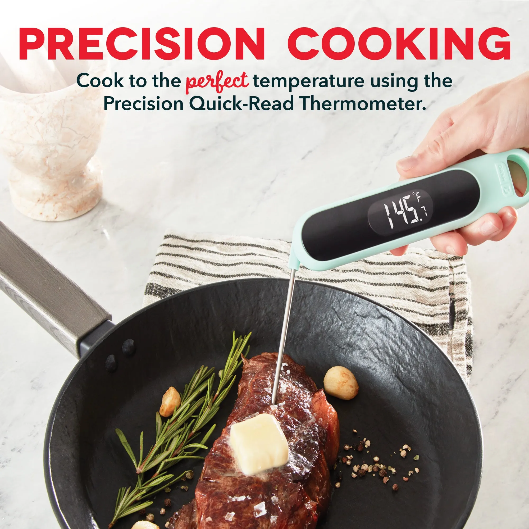 Precision Quick-Read Thermometer